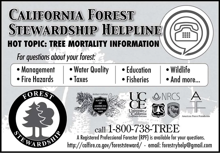 california forest stewardship helpline